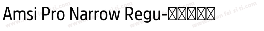 Amsi Pro Narrow Regu字体转换